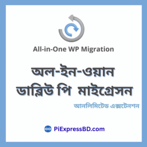 All‑in‑One WP Migration and Backup Plugin | One Year Update